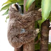 WUXUNRAO ของเล่นเด็ก น่ารัก Three Toed ตุ๊กตาสัตว์โกหก ชีวิตจริง ตุ๊กตาสัตว์ Soft Plush Sloth ของเล่น Sloth ยัดไส้ ตุ๊กตา Sloth Critters Sloth Plush Toy