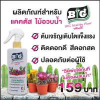 Big บิ๊ก Healthy Plant พร้อมใช้ สูตรสำหรับ แคดตัส ไม้อวบน้ำ วัคซีนพืช และ เสริมการเจริญเติบโต (500ซีซี)