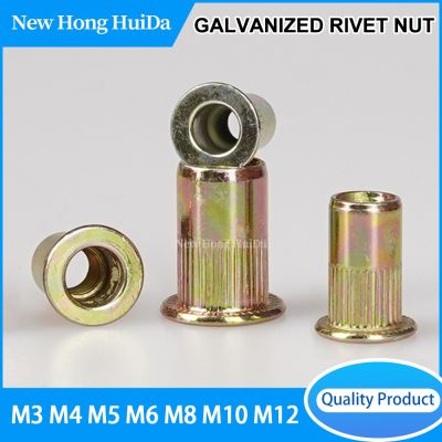 Zinc Plated Rivetnut Flat Head Rivet Nuts Metric Insert Nuts Thread Nutserts Rivnut M3 M4 M5 M6 M8 M10 M12 Nails Screws Fasteners