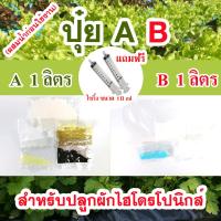 ปุ๋ย AB สำหรับปลูกผักไฮโดรโปนิกส์ ชนิดแห้ง (ผสมน้ำก่อนใช้) ขนาด 1 ลิตร