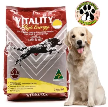 Vitality high hotsell energy puppy