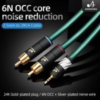 HIFI 2.5mm balance to 2RCA cable OCC noise immunity with nerve wire 2.5mm to RCA audio cable