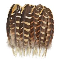 Natural Eagle Feathers for Jewelry Making Creation Crafts Dream Catcher Vases Handicraft Accessories Feather Plumes Decoration