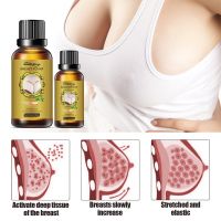 Ginseng Breast Enlargement Oil Lift Frming Big Bust Massage Essential Oil Promote Female Hormone Elasticity Chest Sexy Body Care