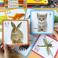 72pcs Kids Cognition Flash Card Animal/fruit Teaching Baby English Learning Word Card Education Toys Montessori Christmas Gifts