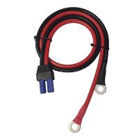 JKM 10AWG EC5 To 8mm O-Type Terminal Line EC5 Adapter Cable Conversion Emergency Start Power Plug Car Accessories