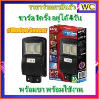 โปรโมชั่น โคมถนนโซล่าเซลล์ 30W Street Light Solar Cell SSL-04 Motion Senser Daylight พร้อมขายึด Street Light Solar Cell ราคาถูก โซล่าเซลล์ แผงโซล่าเซลล์ พลังงานแสงอาทิตย์ อุปกรณ์โซล่าเซลล์