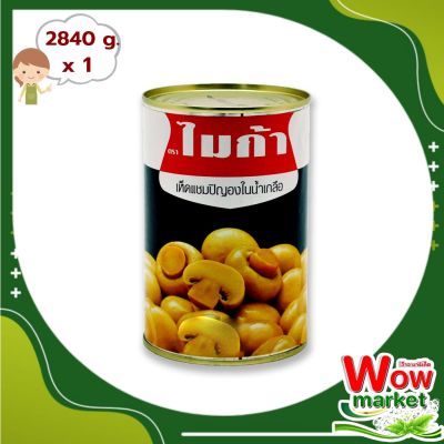 Mica Sliced Champignon Mushroom In Brine 2840g : ไมก้า เห็ดแชมปิญองสไลซ์ในน้ำเกลือ 2840 กรัม