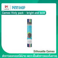 Silhouette Cameo ไวนิล Vinly pack – bright and bold เหมาะสำหรับผู้ที่เริ่มต้นสร้างชิ้นงานด้วยไวนิล ใช้คู่ เครื่องตัด Silhouette Cameo คามิโอ้