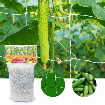 [Hot K] โครงไม้เลื้อยด้านหลังพืชสวน20เมตรกรอบรูปทอผ้าแบบตาข่ายสำหรับปลูกผักสวนแตงกวาปีนเขา