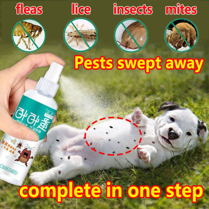 Tick and Flea Killer for Dogs Vet Core Tick and Flea Spray Pet Dog