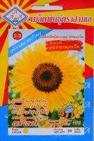 ทานตะวัน Sunflower เมล็ดพันธุ์ตราสามเอ สีเหลืองสด ดอกใหญ่ อัตราความงอก 75%  จำนวนเมล็ด (ประมาณ) 10 เมล็ด