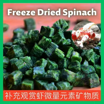 Freeze Dried Krill Shrimp Fish Food, Colour enhance, body growth