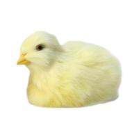 ของเล่นตุ๊กตาลูกเจี๊ยบของเล่นไก่จำลองตุ๊กตาสัตว์ขนฟูที่สมจริงของขวัญวันอีสเตอร์ของเล่นเด็กตุ๊กตาสัตว์ลูกเจี๊ยบหุ่นไก่ที่ระลึก