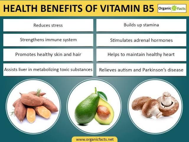 กรดแพนโทเทนิก-pantothenic-acid-500-mg-250-capsules-now-foods-b5-วิตามินบี-5-b-5