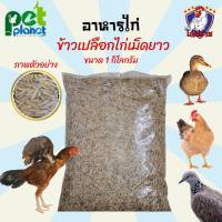 [1kg.] ข้าวเปลือกเม็ดยาว อาหารไก่ อาหารไก่ชน อาหารไก่เจ๊ อาหารนก อาหารเป็ด อาหารนกเขา ข้าวเปลือก ข้าวเปลือกไก่ชน อาหารนกเขา อาหารห่าน