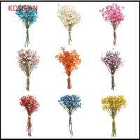 KONSIRAN ตกแต่ง ตกแต่งงานแต่งงาน อุปกรณ์ประกอบฉากภาพ ของตกแต่งบ้าน มินิ Babysbreath ลำต้นของพืช ดอกไม้จริง ช่อดอกไม้ประดิษฐ์ธรรมชาติ