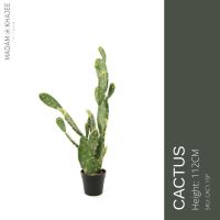 CACTUS 112CM- ต้นกระบองเพชร 112 ซม.