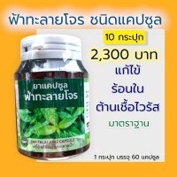 ฟ้าาทะลายโจรรสกัด ของแท้ 100% สมุนไพรล้วนไม่ผสมแป้ง ไม่เจือปน 250 mg./แคปซูล 10 กระปุก แก้ร้อนใน ไข้ ต้าน เชื้อ เสริม ภูมิ คุ้มกัน