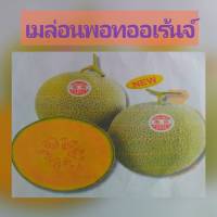 เมล่อนพอทออเร้นจ์ POT ORANGE 10 เมล็ด/แพ็ค