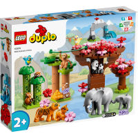 Toys R Us LEGO Duplo สัตว์ป่าแห่งเอเชีย (129628)