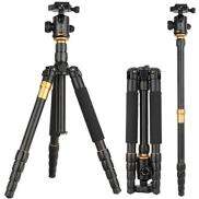 Chân máy ảnh QZSD Q-666 Professional Magnesium Digital Aluminium Tripod
