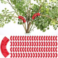 5 35PCS Plant Branches Bender 90 Degree Plant Bending Clips Growth Fixing Clip for Plant Low Stress Trainer Control Garden Tools