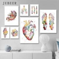 กล้ามเนื้อมนุษย์ระบบ Wall Art สีน้ำ Anatomy ภาพวาดผ้าใบโปสเตอร์และพิมพ์ Body Wall ภาพ Medical Education พิมพ์ New