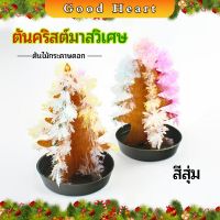 ต้นคริสต์มาสวิเศษ ต้นไม้กระดาษดอก ของขวัญแสนสนุก  magical christmas tree