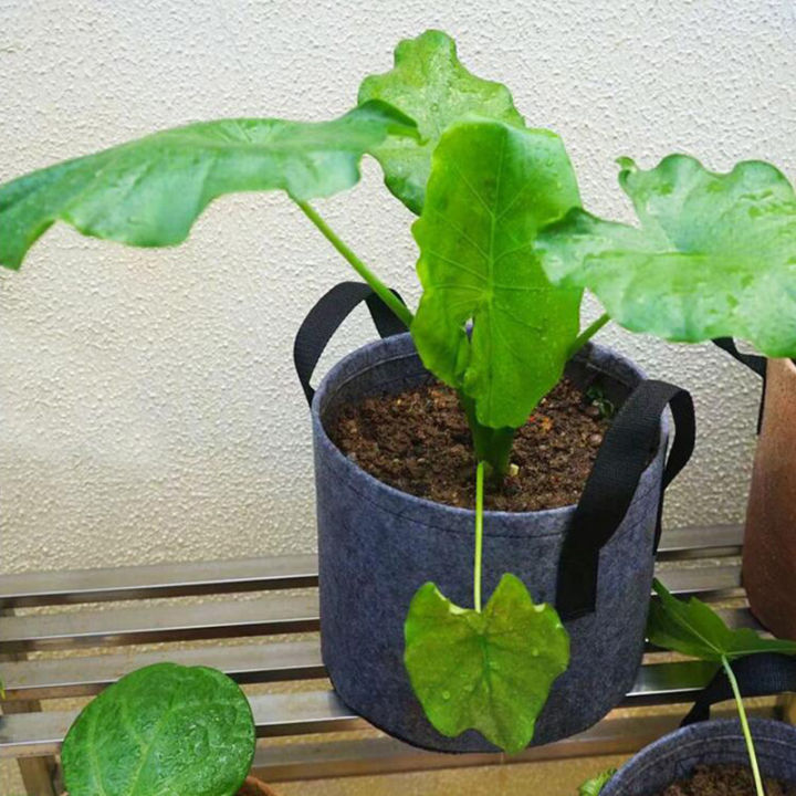 qkkqla-planting-bag-grey-potato-fabric-vegetable-growing-pot-garden-tools-10-gallon-eco-friendly-grow-container-bags