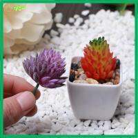 QIGUI 1 PC DIY ตกแต่ง การตกแต่งบ้าน สวน Succulents จำลองสถานการณ์ พืชจิ๋ว กระบองเพชรเหมือนจริง ดอกไม้ประดิษฐ์