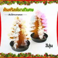 First ต้นคริสต์มาสวิเศษ ต้นไม้กระดาษดอก ของขวัญแสนสนุก  magical christmas tree