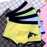 【Ready Stock】 ♂ C22 Childrens cotton underwear cartoon style boys boxer briefs childrens big childrens trousers b儿童纯棉内裤卡通款男童平角底裤小童中大童裤头宝宝小孩四角裤qinghuangz.my12.24