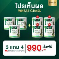 วีทกราส คลอโรฟิลล์ ต้นอ่อข้าวสาลี ไฟเบอร์ คลอโรฟิลล์ ต้นอ่อข้าวสาลี  ยูมิโกะ  บรรจุ 50 กรัม/กระปุก