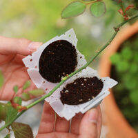 สวนพืช Rooting Ball Incubator High Pressure Incubator Grafted Tree Rooting Seedling Cultivation Ball Small Medium-EIRW MALL