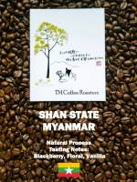 TM Coffee Roasters: Shan State G1, Myanmar, Natural Process