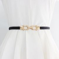 Women Metal Buckle Thin Elastic Waist Band INS Coat Dress Decoration Waist Belt on Pants Creative Cloth Accessories Gifts