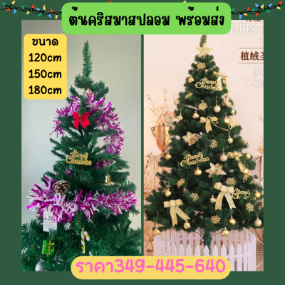 ต้นคริสต์มาส ขนาด12cm/120cm/150cm/180cm ต้นคริสมาสปลอม ของตกแต่งคริสมาส ตกแต่งปีใหม่ ตกแต่งต้นคริสต์มาส⛄พร้อมส่ง.