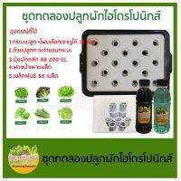 ⭐โปรสุดคุ้ม ชุดทดลองปลูกผักไฮโดรโปนิกส์ ปลูกผักไร้ดิน 18 ช่อง (สำหรับมือใหม่) สุดฮอต!