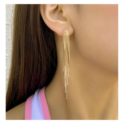 Fashion Earrings Exaggerated Style Earrings Long Earrings Snake Bone Chain Earrings Tassel Earrings