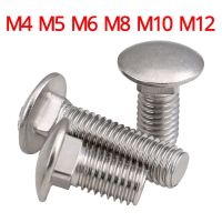 M4 M5 M6 M8 M10 M12 304 Stainless Steel GB12/DIN Dome Round Head Square Neck Coach Bolts Shelf Storage Rack Cap Head Screw Fasteners