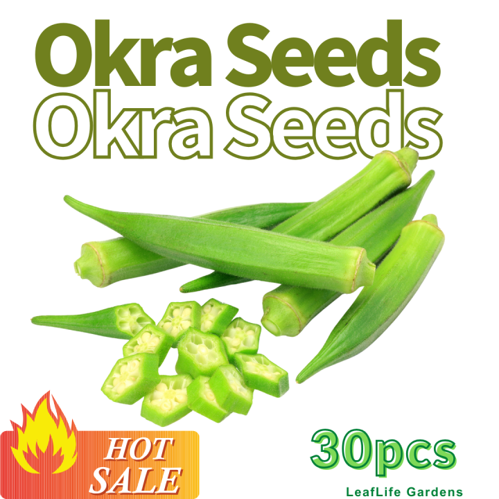 30pcs Green Smooth Okra Seeds Fresh Vegetable Okra Seeds Vegetable