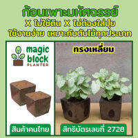 Magicblock ก้อนเพาะปลูกมหัศจรรย์ทรงเหลี่ยม ขนาด 8*8 cm (ปลูกต้นไม้แนวตั้ง/สวนแขวนผนัง/ชุดสวดแนวตั้ง/ตะแกรงพร้อมปลูก)