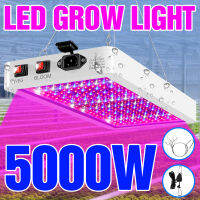 LED Plant Lamp 220V Grow Light Phytolamp Indoor Lighting Lampara LED Panel 110V Full Spectrum Greenhouse Flower Seeds Tent Bulb