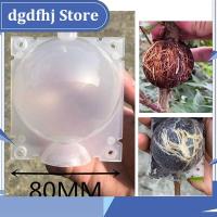 Dgdfhj Shop 8cm Garden Fruit Tree Plant Rooting Ball Root Growing Boxes Case Grafting Rooter Grow Box Breeding Garden Tools Supplies