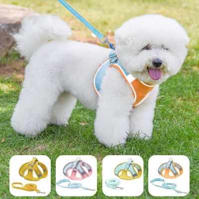 ﹉ Amazon Dog Leash Vest สายรัดสัตว์เลี้ยงแบบสะท้อนแสงสบาย ๆ สายจูงสุนัข Cat Leash