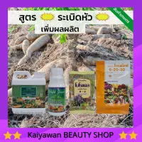 [ส่งฟรี] ปุ๋ย ปุ๋ยมันสำปะหลัง สูตรระเบิดหัว เร่งหัวโต ช่วยลดต้นทุน เพิ่มผลผลิต  เกรทกรีน โบโรแคล ไบร์ทกรีน