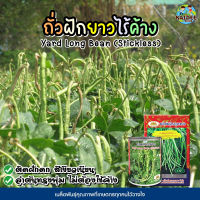 เมล็ดถั่วฝักยาวไร้ค้าง ตราภูเขาทอง ขนาด60กรัมและ5กรัม เมล็ดพันธุ์ถั่วฝักยาวไร้ค้าง ถั่วไร้ค้าง ถั่วฝักยาว เมล็ดถั่วฝักยาว