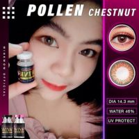 ? สุดปัง มีค่าสายตา ? Wink Pollen Gray Brown ? บิ๊กอาย สุดปัง คอนแทคเลนส์ รายเดือน มีอย แถมตลับฟรี เลนส์นิ่ม สวยปังมาก