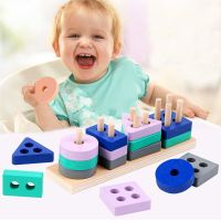 Montessori Wooden Toys Geometric Shapes Montessori Puzzle Sorting Math Bricks Baby Preschool Learning Educational Game